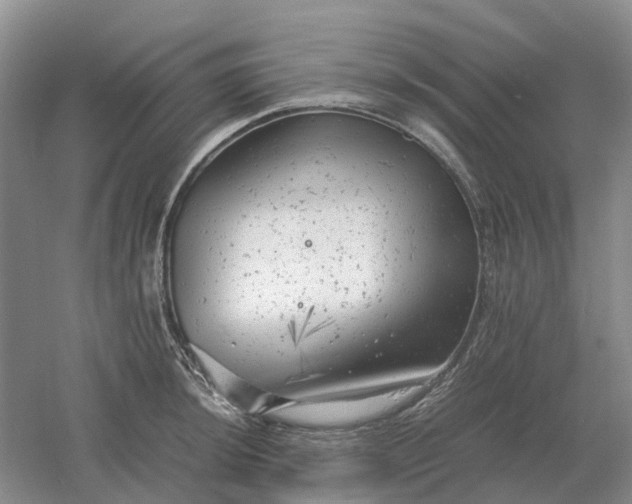 X0000061121044200512022147