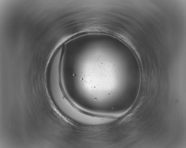 X0000061121045200512022147