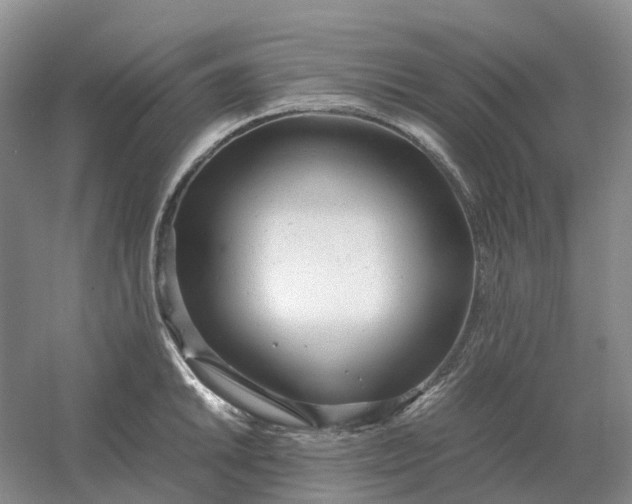 X0000061121046200512022147