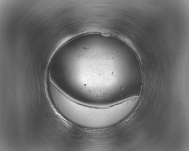 X0000061121048200512022147