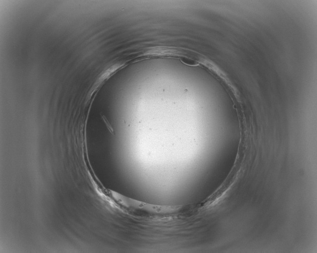 X0000061121049200512022147