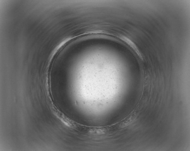 X0000061121051200512022147