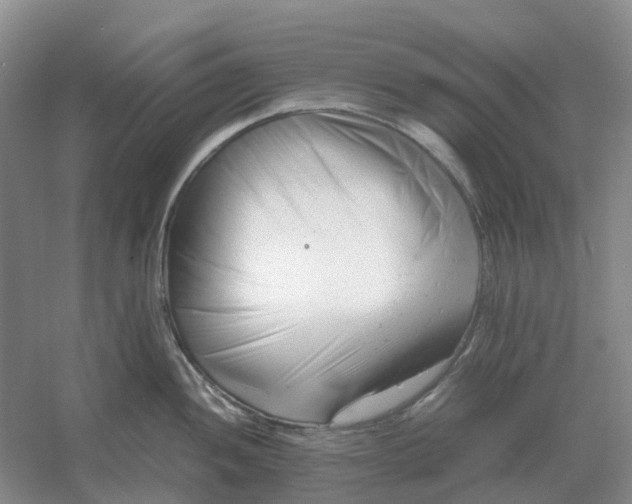 X0000061121052200512022147