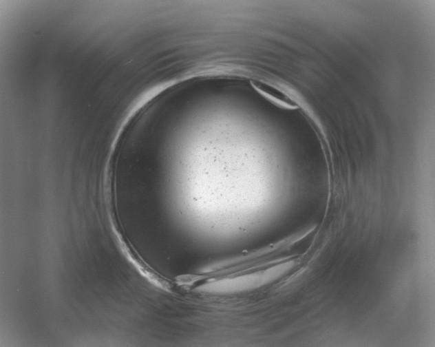 X0000061121053200512022147