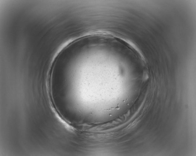 X0000061121054200512022147