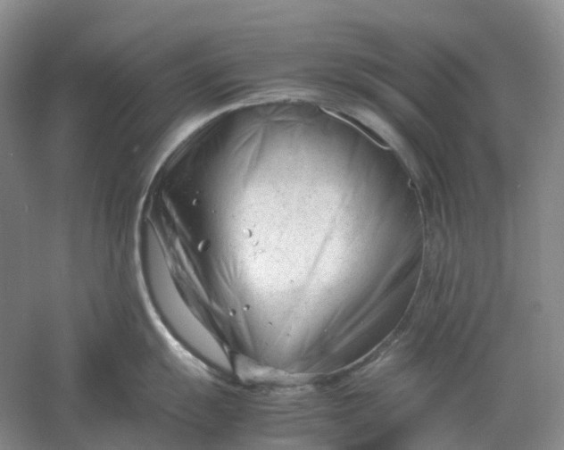 X0000061121055200512022147