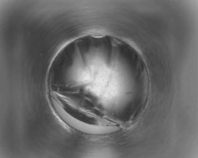 X0000061121056200512022147