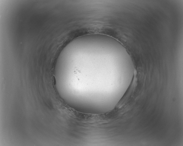 X0000061121057200512022146