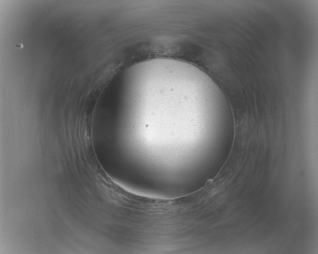 X0000061121058200512022146