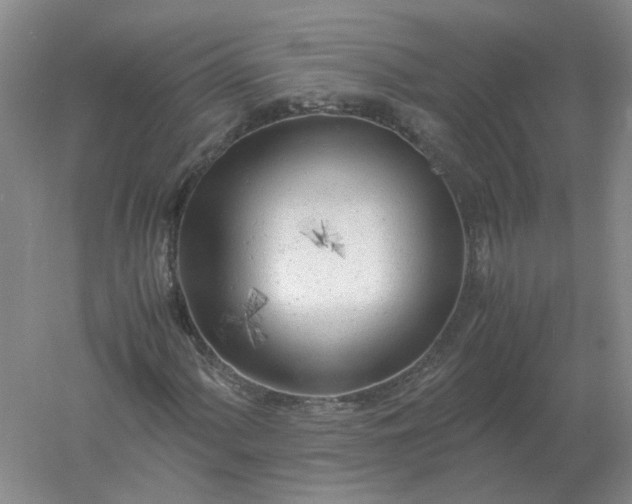 X0000061121060200512022146