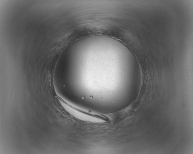 X0000061121061200512022146