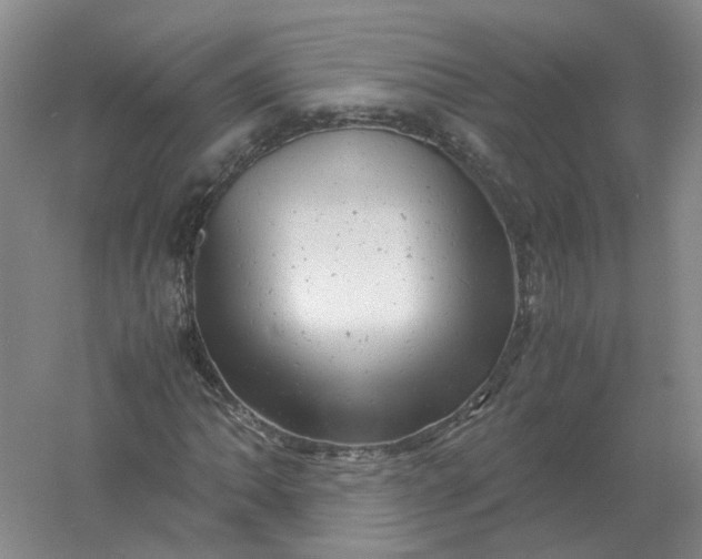 X0000061121062200512022146