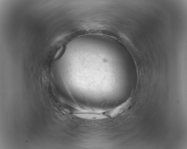 X0000061121063200512022146