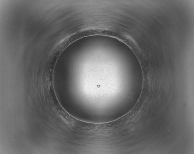 X0000061121064200512022146