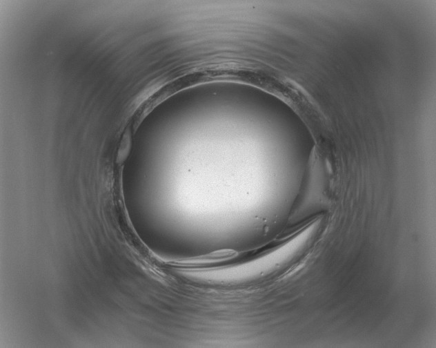 X0000061121065200512022146