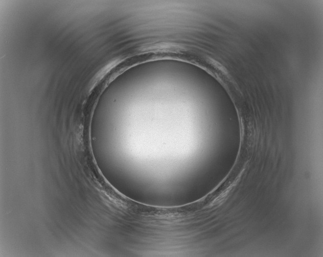 X0000061121066200512022146