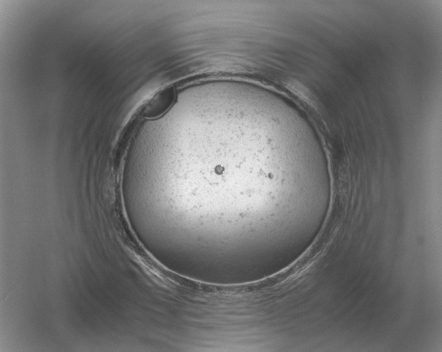 X0000061121067200512022146