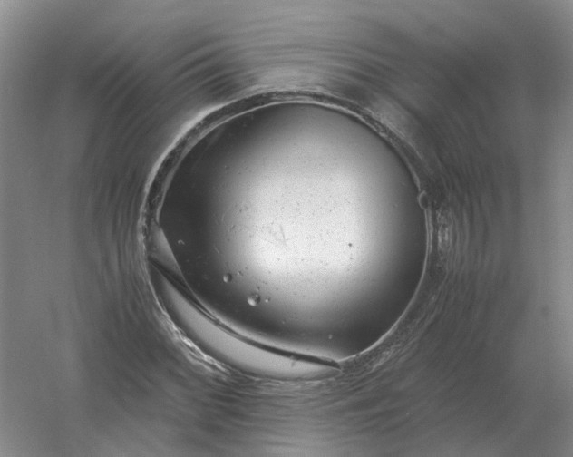 X0000061121068200512022146