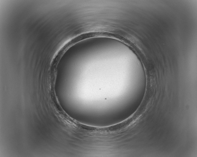 X0000061121069200512022146