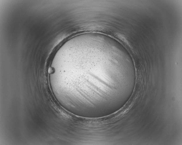 X0000061121071200512022146