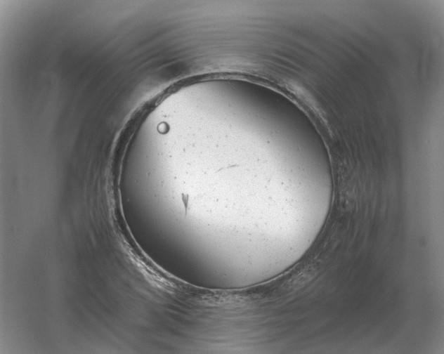 X0000061121072200512022146