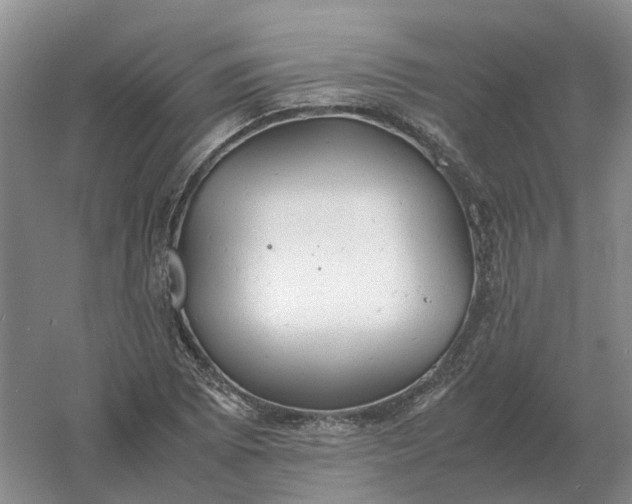 X0000061121073200512022146