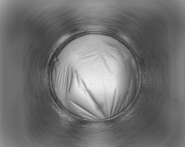 X0000061121074200512022146