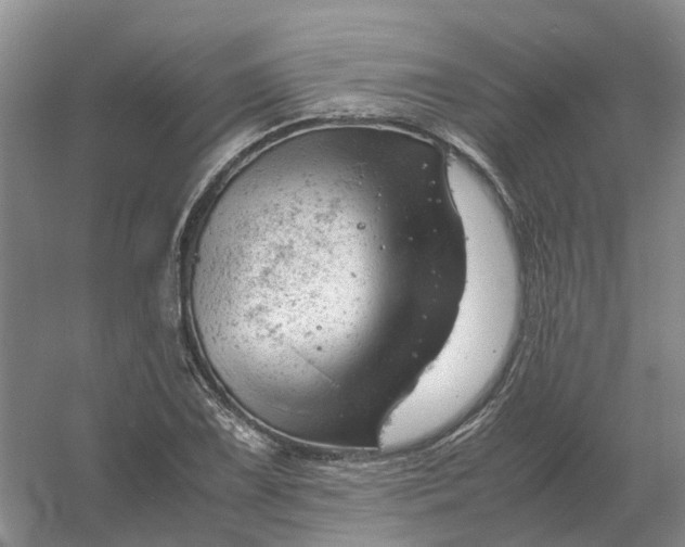 X0000061121075200512022146