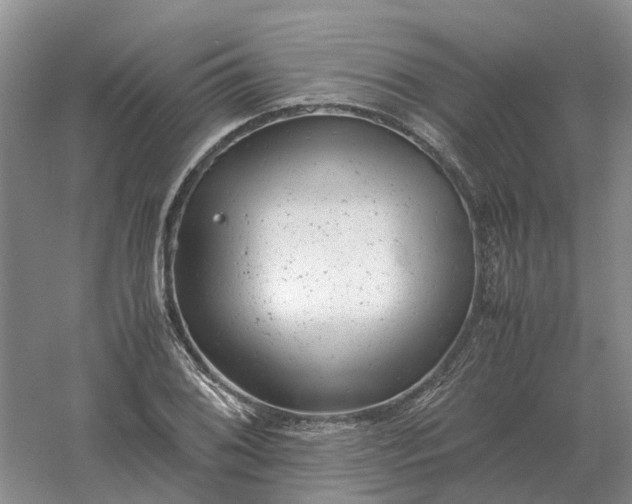 X0000061121076200512022146