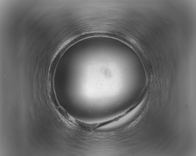 X0000061121077200512022146