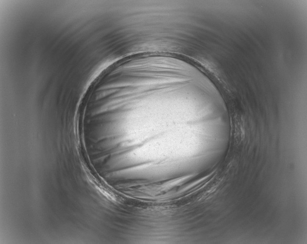 X0000061121078200512022146