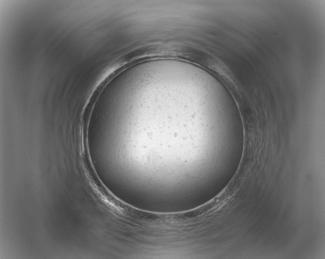 X0000061121079200512022146