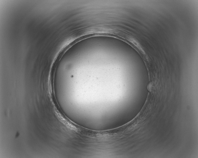 X0000061121080200512022146