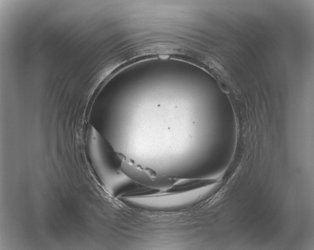 X0000061121081200512022146