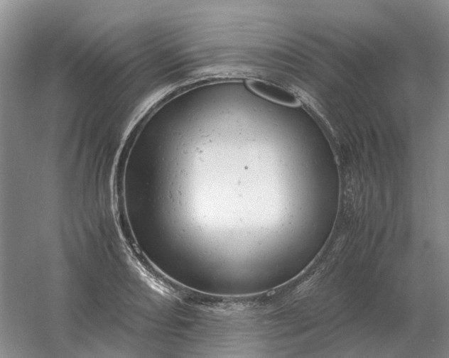 X0000061121082200512022146