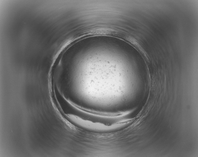 X0000061121083200512022146