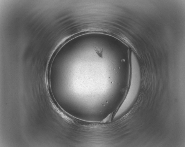 X0000061121084200512022146