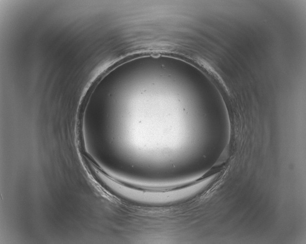 X0000061121085200512022146