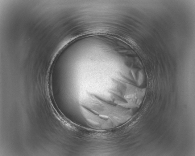 X0000061121086200512022146