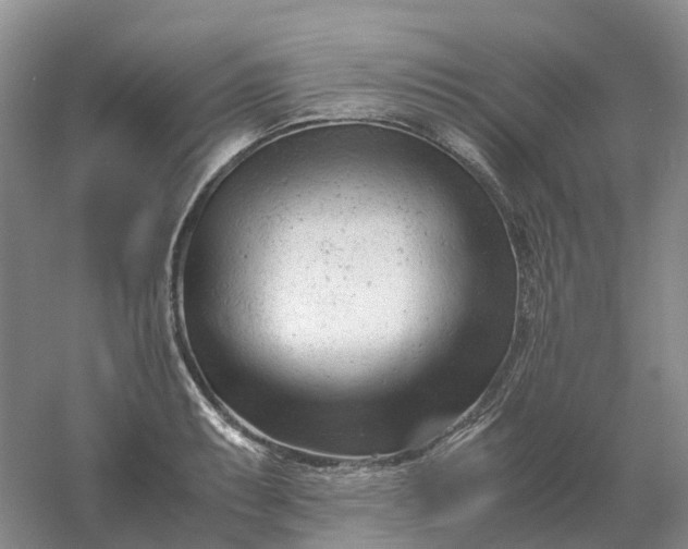 X0000061121087200512022146