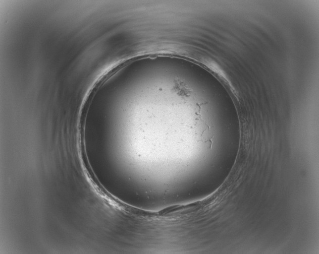 X0000061121088200512022146