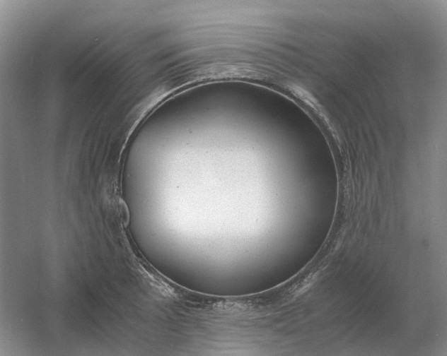 X0000061121089200512022146