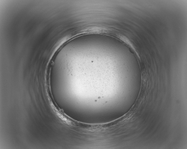 X0000061121091200512022146