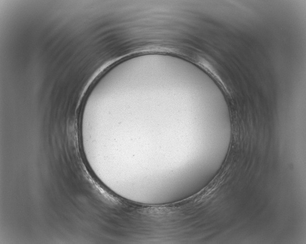 X0000061121092200512022146