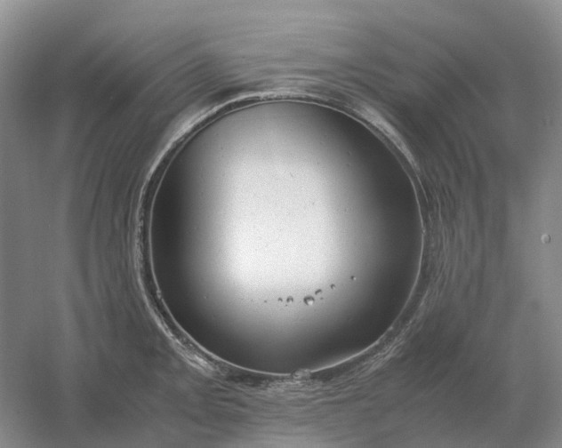 X0000061121093200512022146