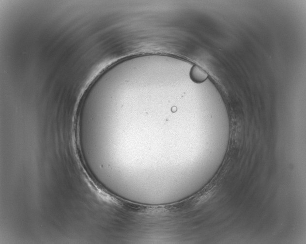 X0000061121094200512022146