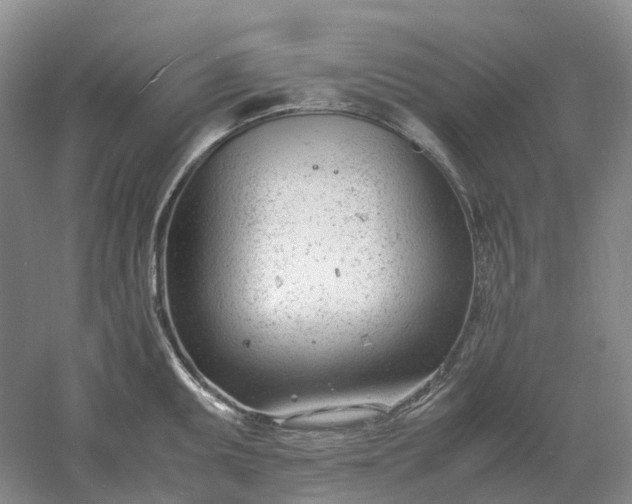 X0000061121095200512022146