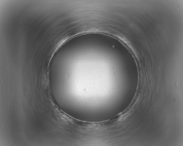 X0000061121097200512022146