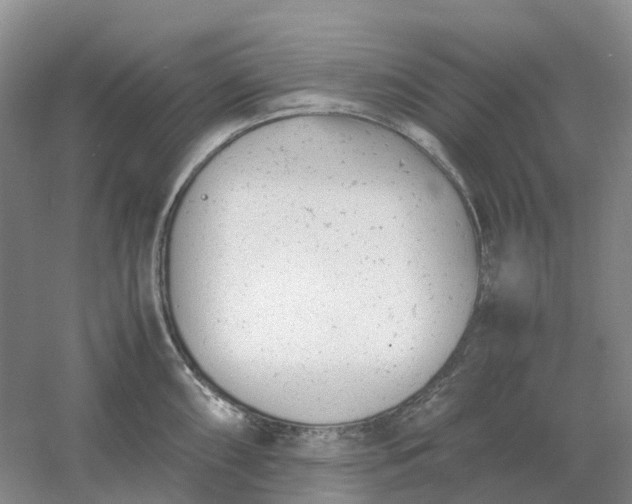 X0000061121098200512022146