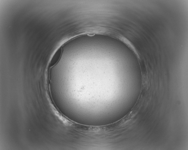 X0000061121099200512022146